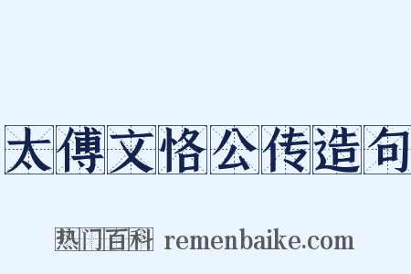 太傅文恪公传造句是什么意思的图片